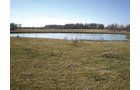 Property photo 15 - 159 Acres Offered in 7 Tracts
